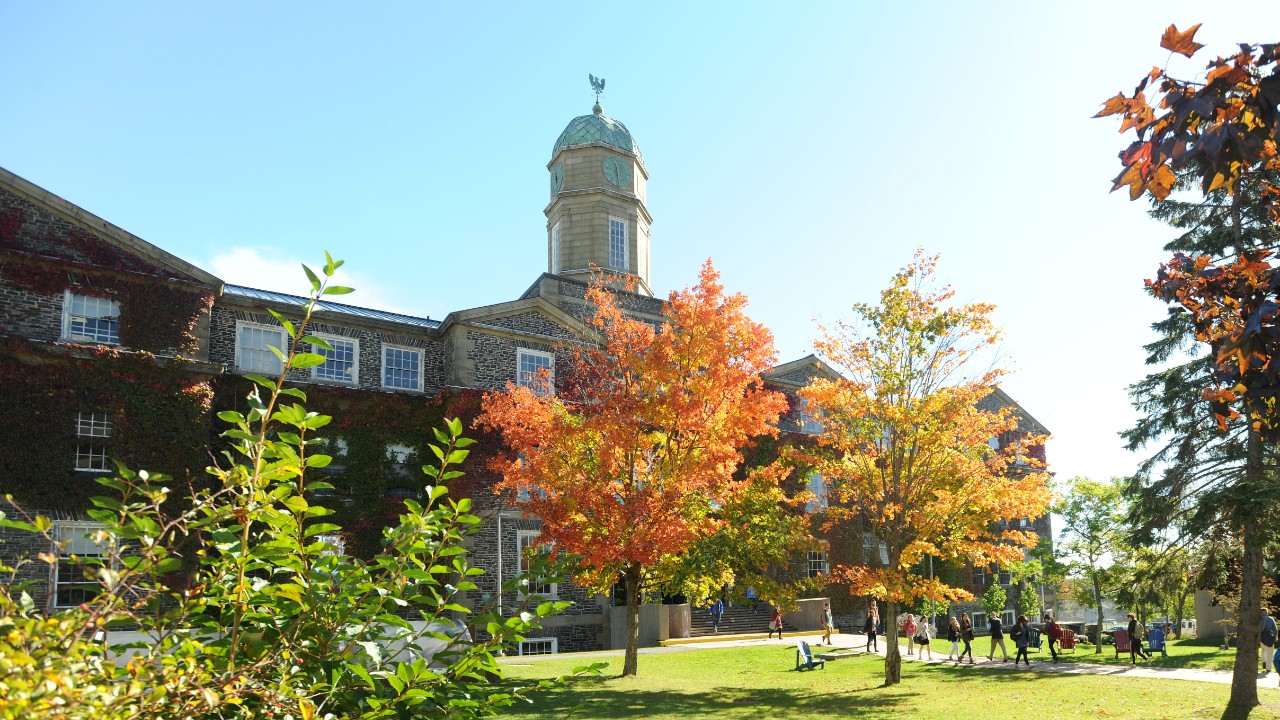 A view of the Henry Hicks Building from green space with autumn leaves on trees in red yellow and orange hues.