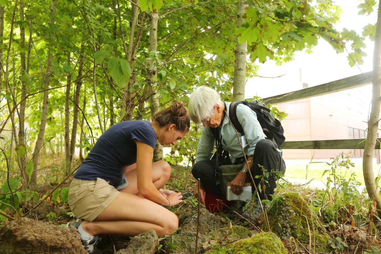 Faculty, staff and students participate in the Bio Blitz at Dalhousie University