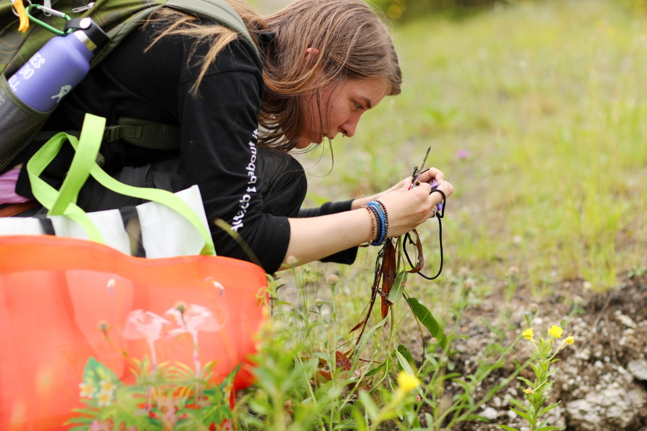 Dalhousie Science student takes a photo of a sample while on a field trip