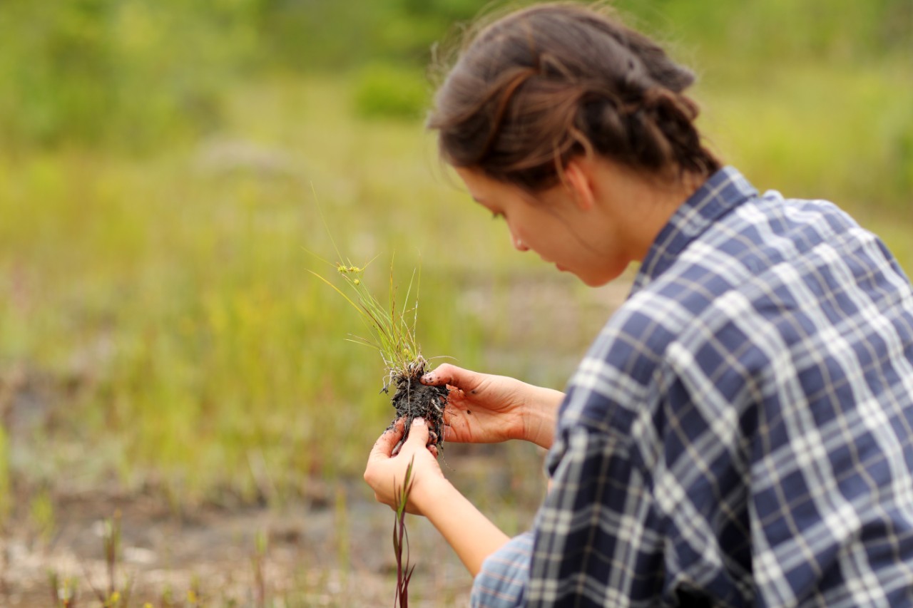 Dalhousie Science student gets a closer look at a plant while on a field trip