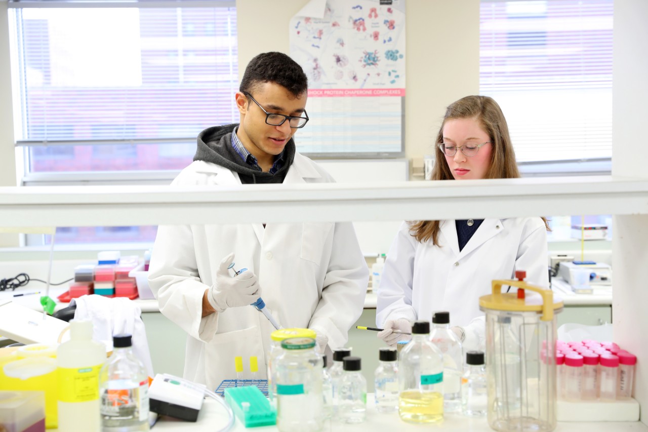 Dalhousie science students conduct research in a lab