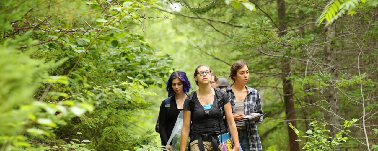 Dalhousie Science students walk through the woods in a group while on a field trip