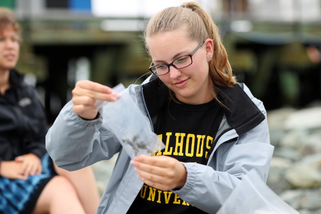 Dalhousie Science student looks at a sample in a bag during a field trip in Halifax Canada