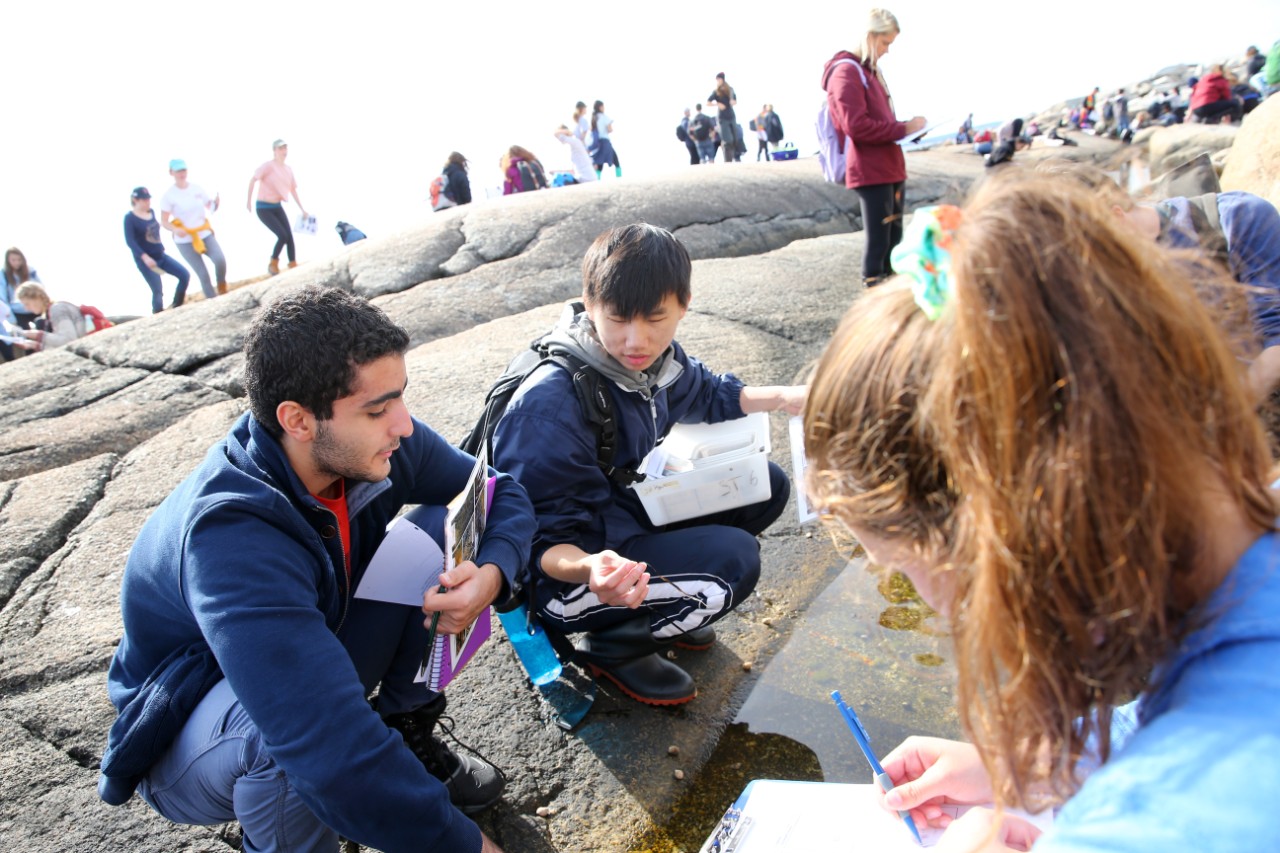 Science students gather around a tide pool while attending a field trip at Peggy's Cove, Nova Scotia