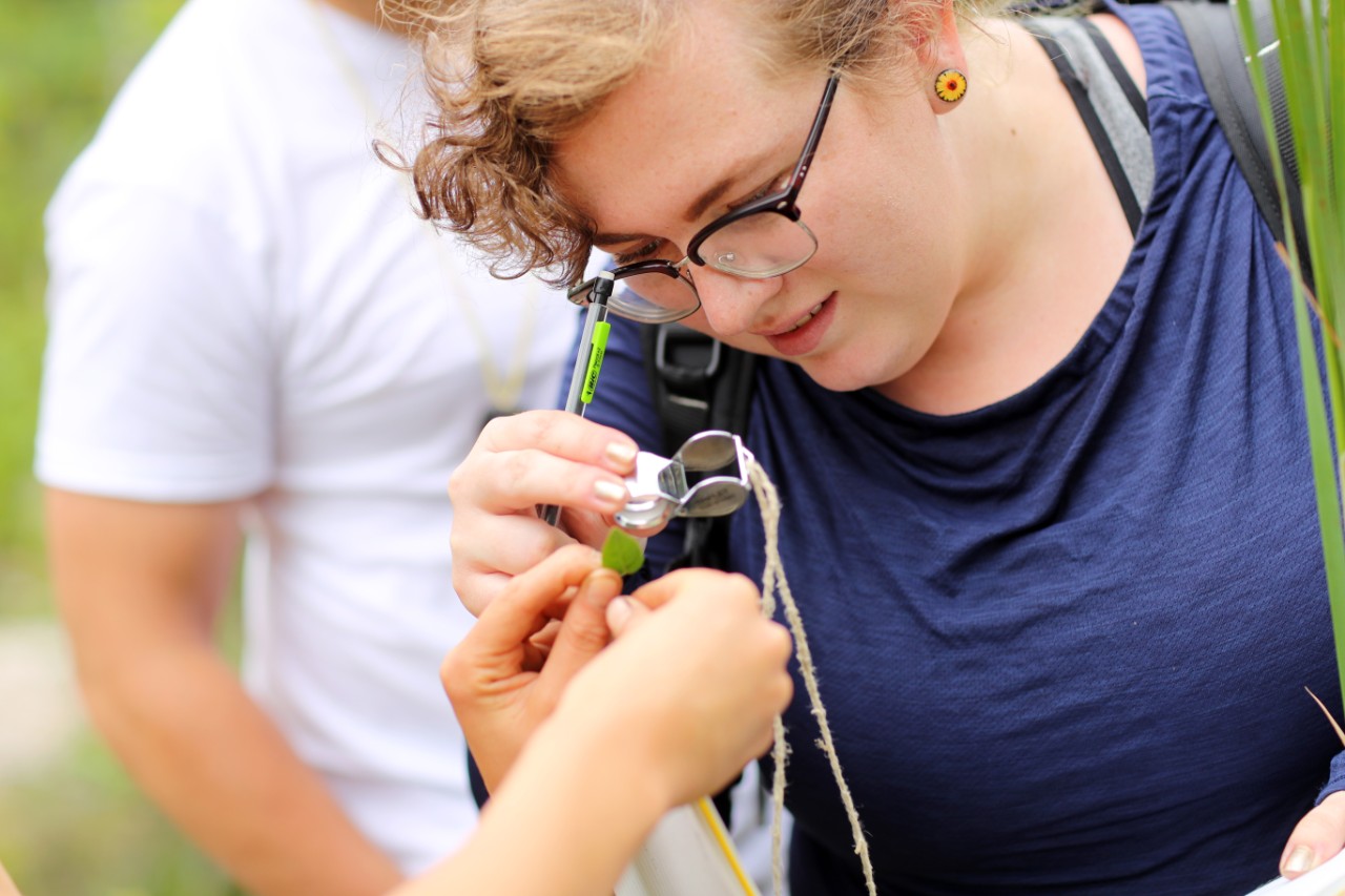 A Dalhousie Science student observes a specimen while on a field trip