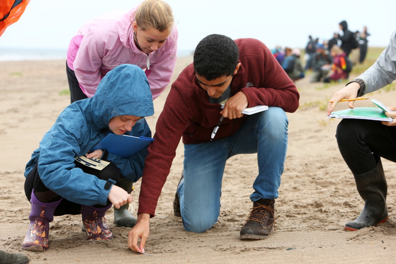 Science students attend a field trip at Conrad's Beach, Nova Scotia