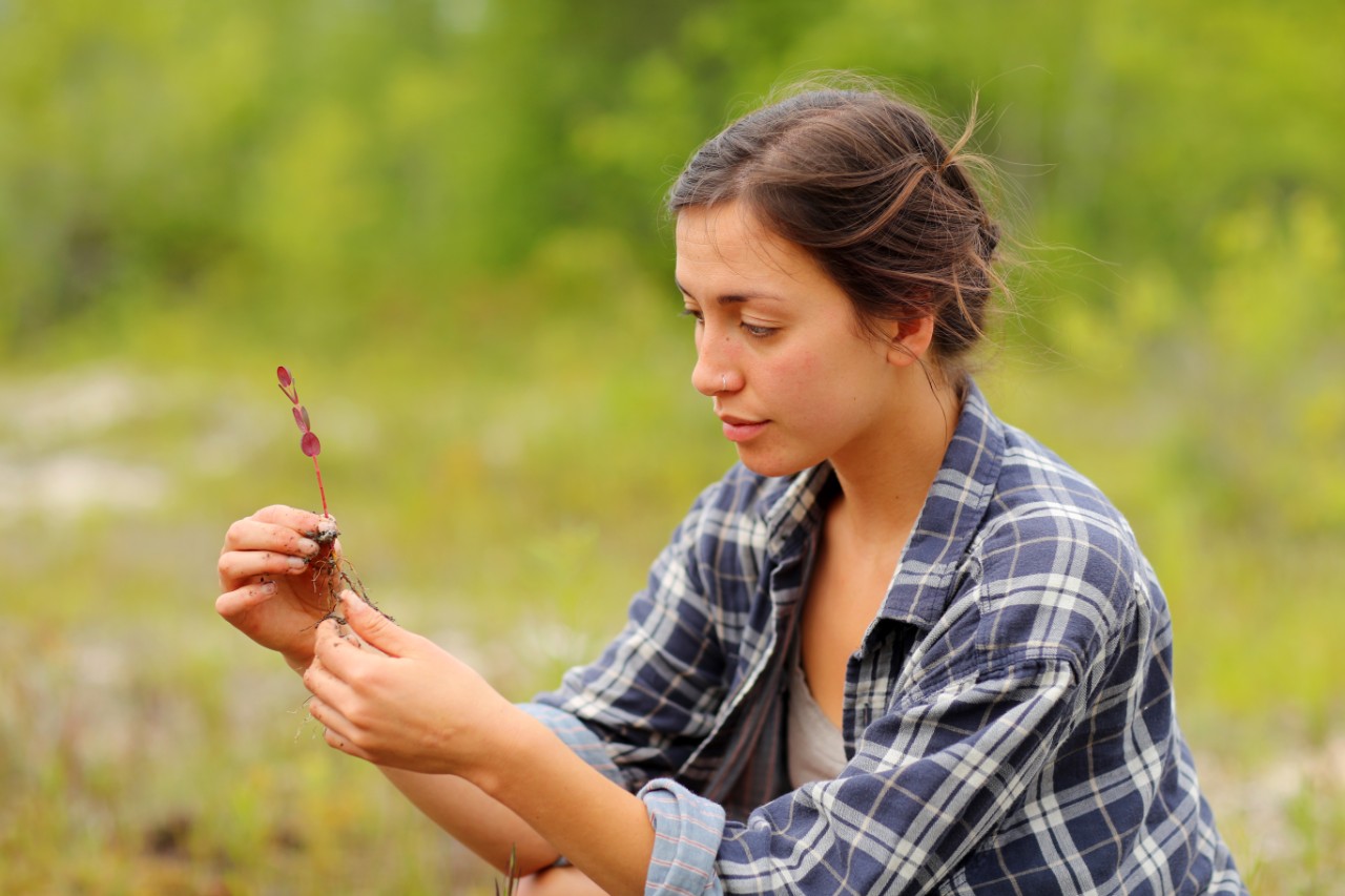 A Dalhousie Science student looks at a specimen they found while on a field trip