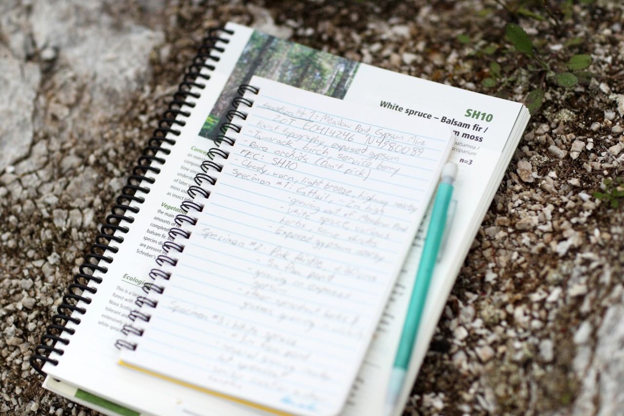 Notes from a field trip appear in a lined notebook sitting on top of a textbook on the ground