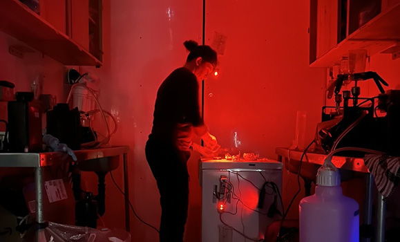Using a red headlamp as a light source, a researcher processes a sample in a dark room