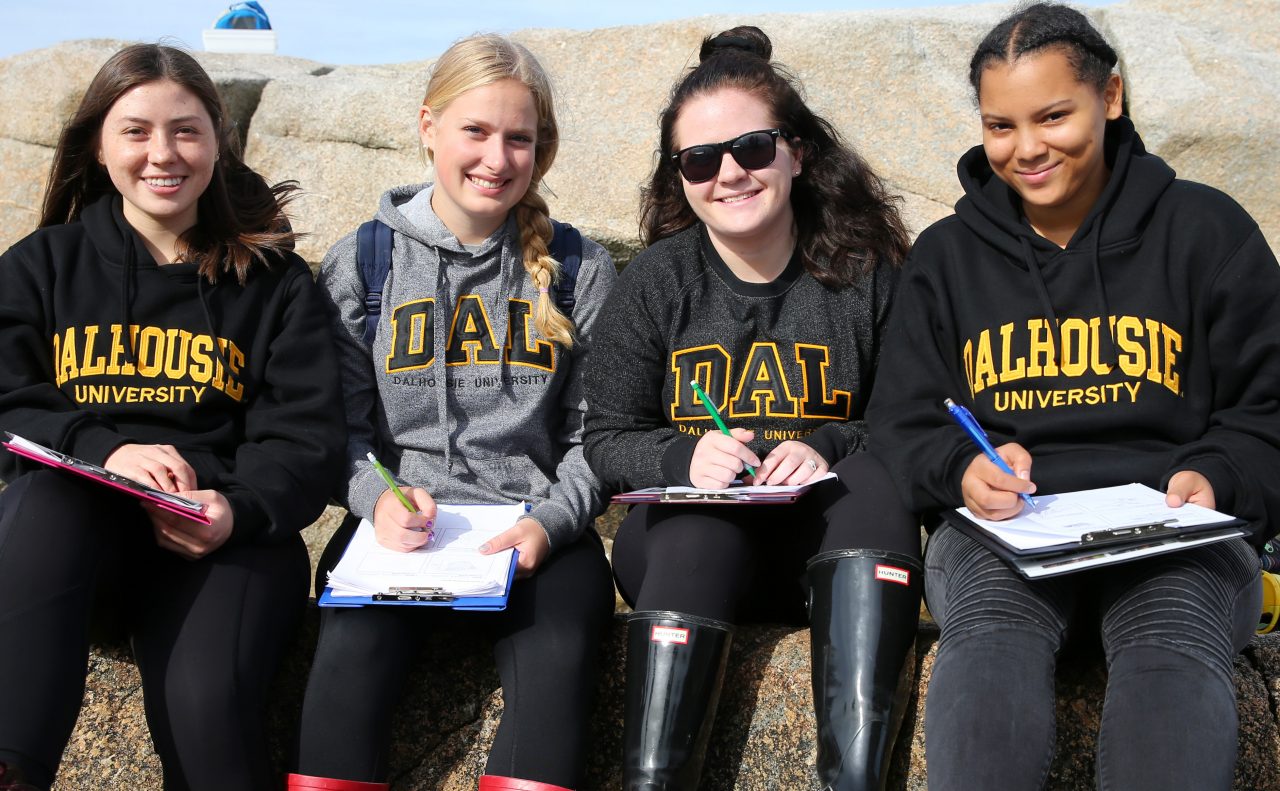 Four students during a beach field trip 