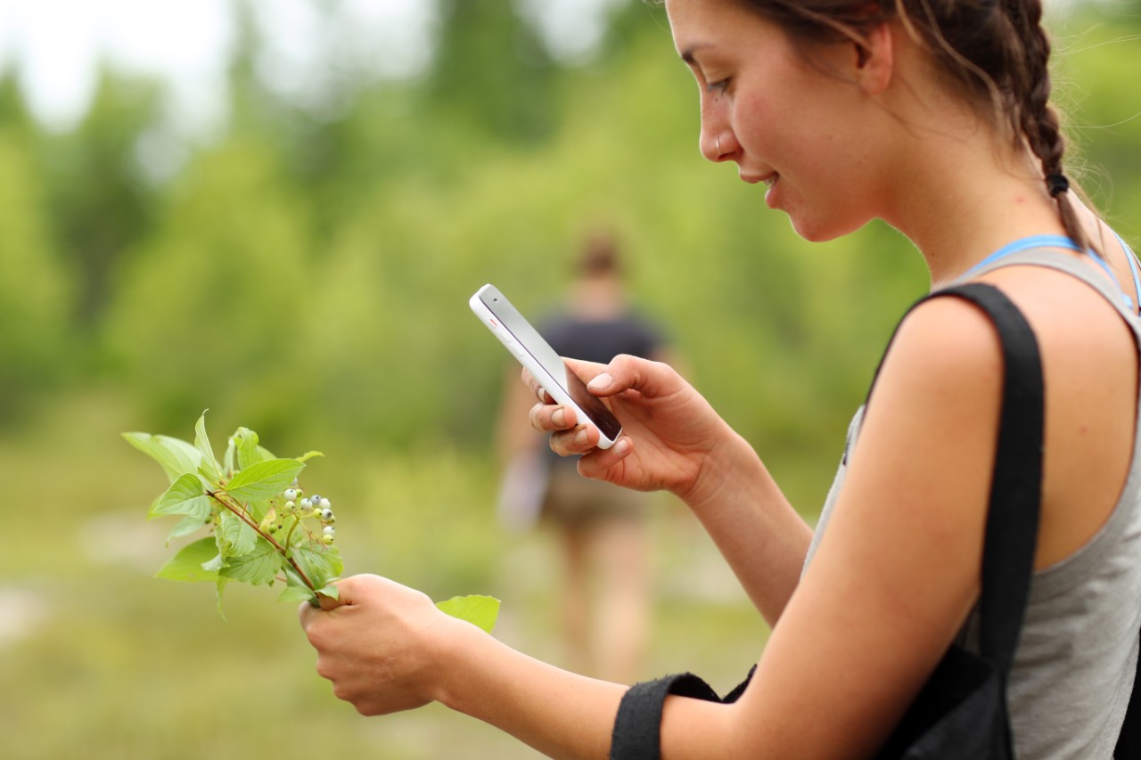 A student uses their phone to capture an image of a plant while on a field trip