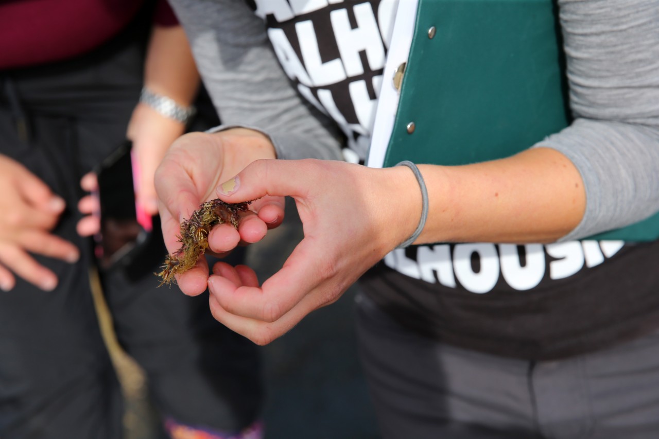 A student holds a specimen found during a field trip at Peggy's Cove, Nova Scotia