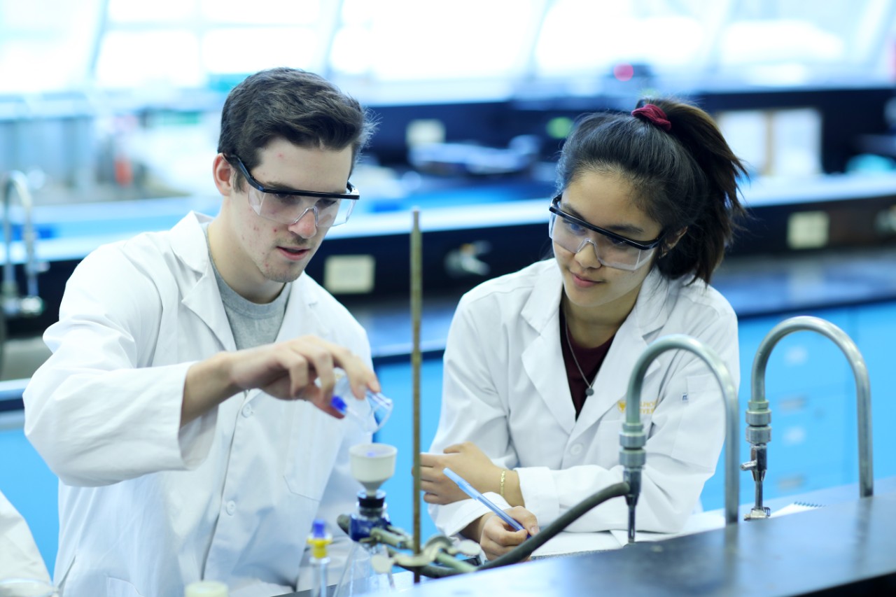 Undergraduate science students work together on an experiment in a lab