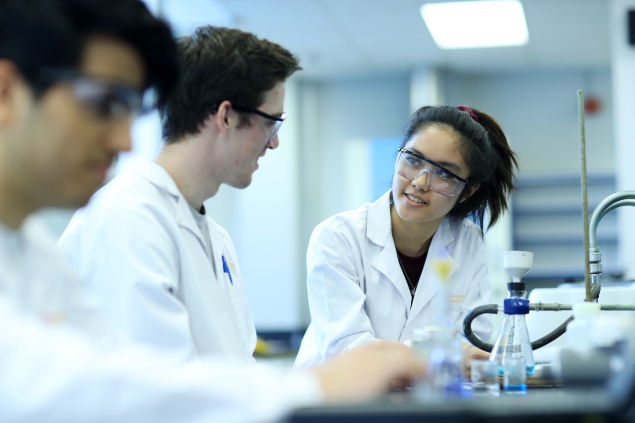 Undergraduate science students talk and conduct research in a lab at Dalhousie University