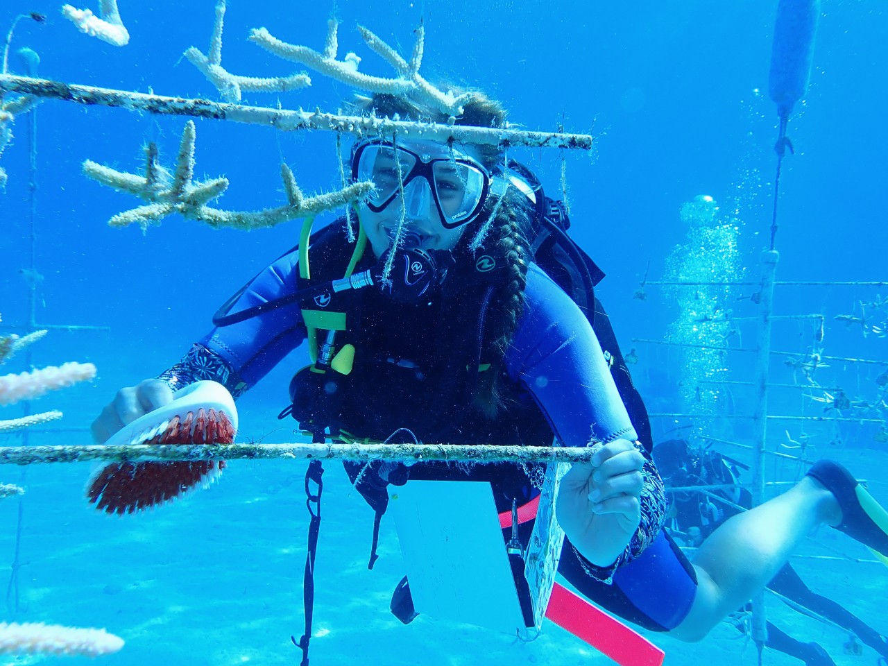 A diver wearing scuba gear swims underwater