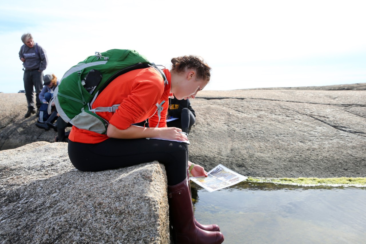 A student sits on a rock and reads their notes while attending a field trip at Peggys Cove, Nova Scotia