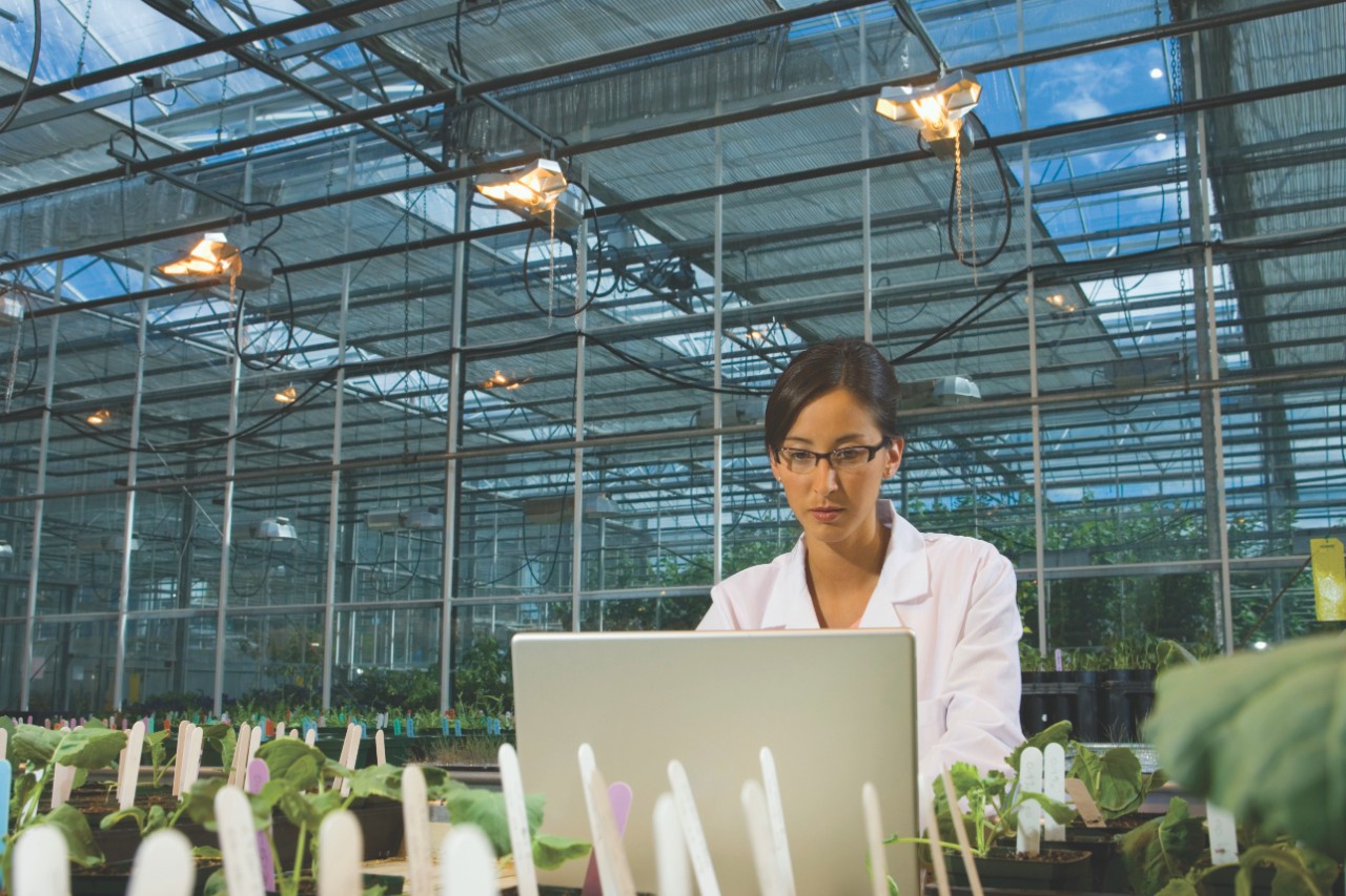 A student works on their laptop in the greenhouse
