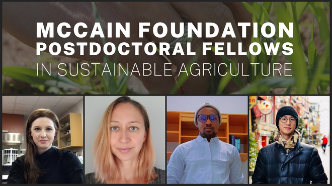 A composite of pictures of two women and two men with the words McCain Foundation Postdoctoral Fellow in Sustainable Agriculture in white