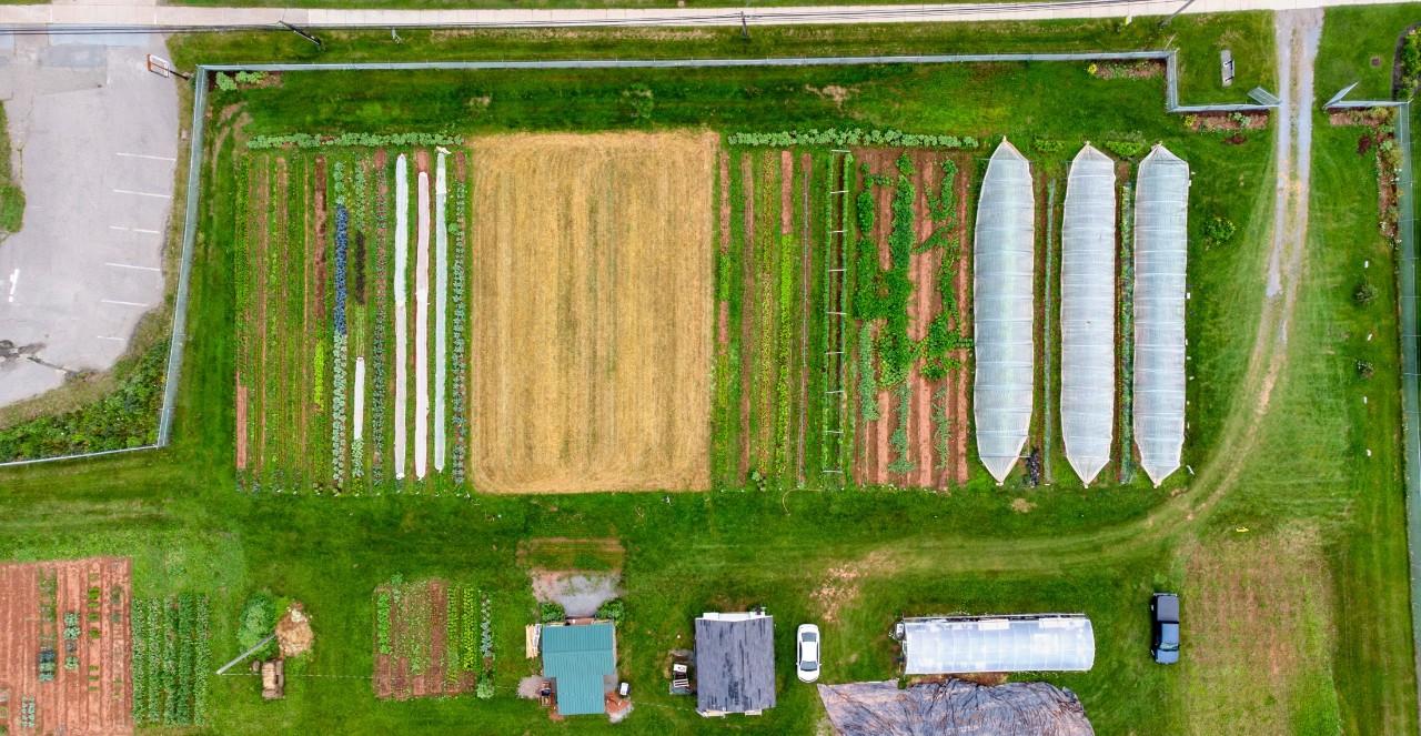 An overhead view from a drone of the Masstown Market farm and commercial property.