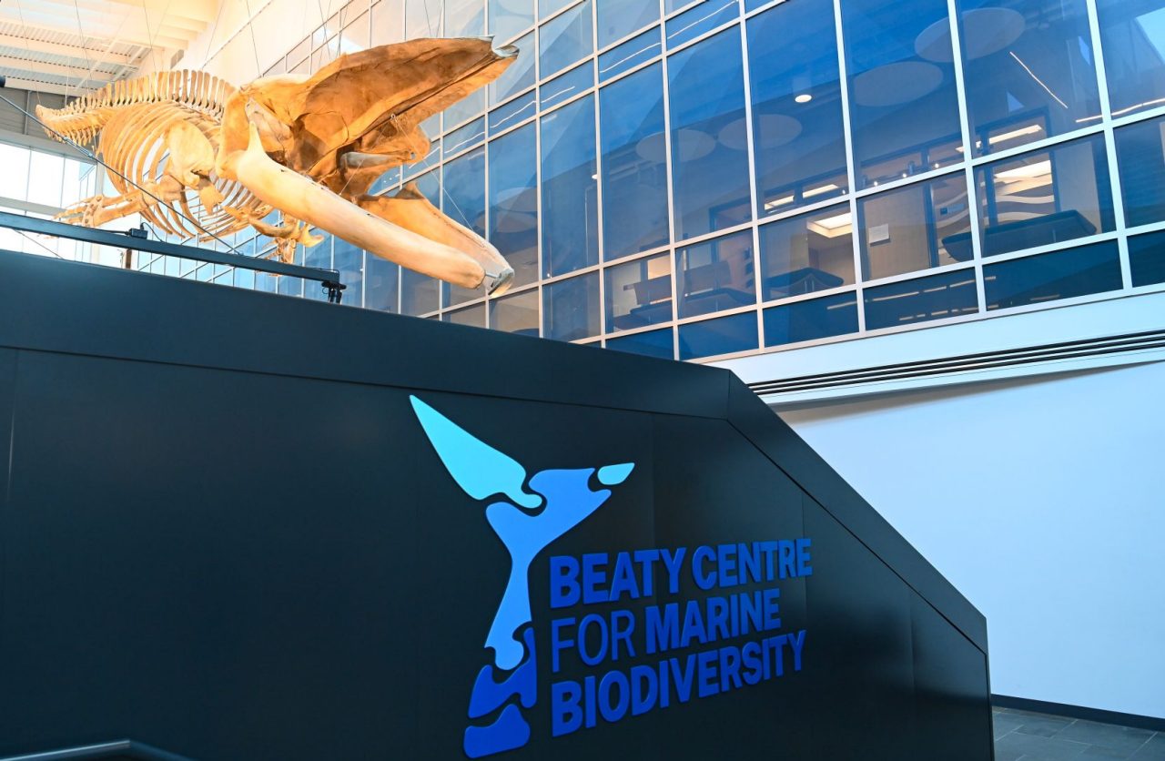 The skeleton of a blue whale hanging from the ceiling of an atrium above the centre's signage.