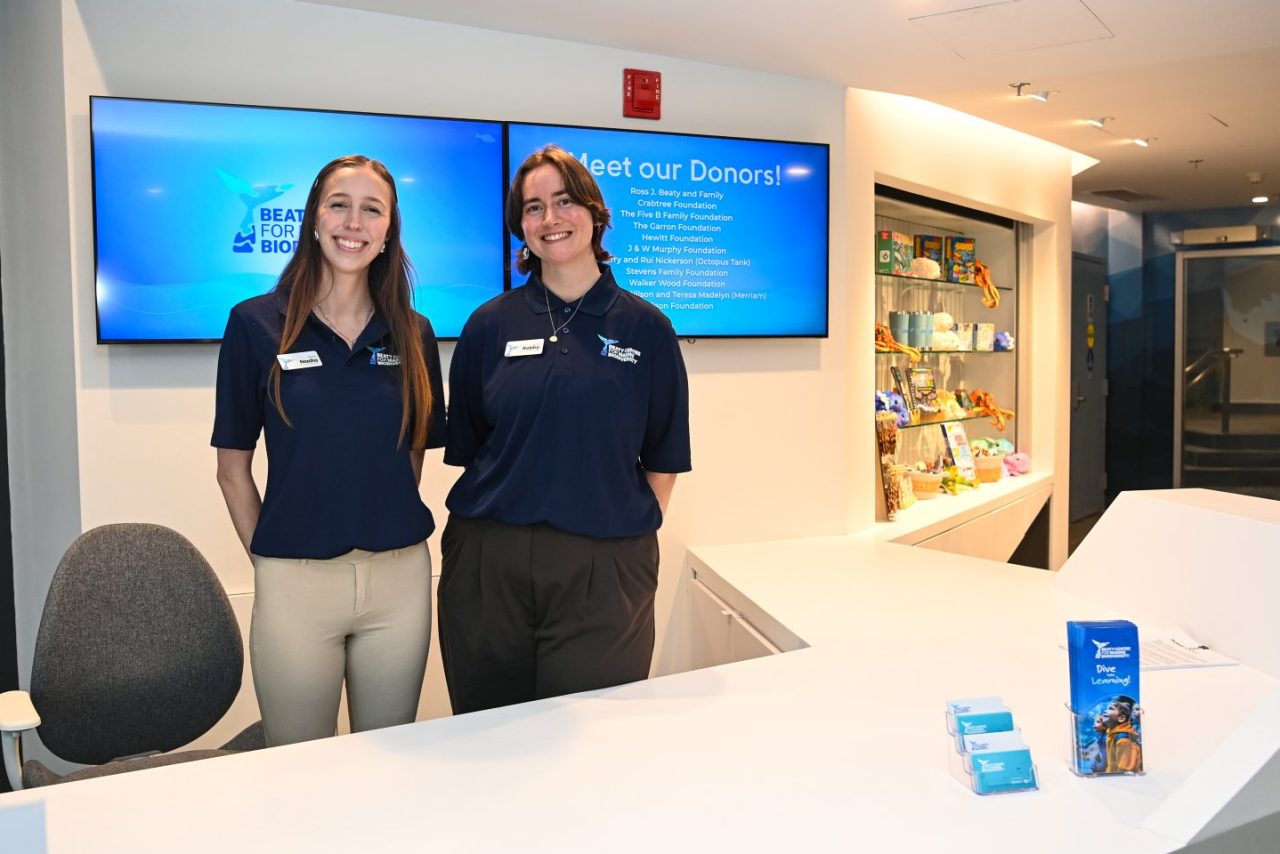 Two people wearing navy blue golf shirts stand behind a white desk wearing nametags and smiling.