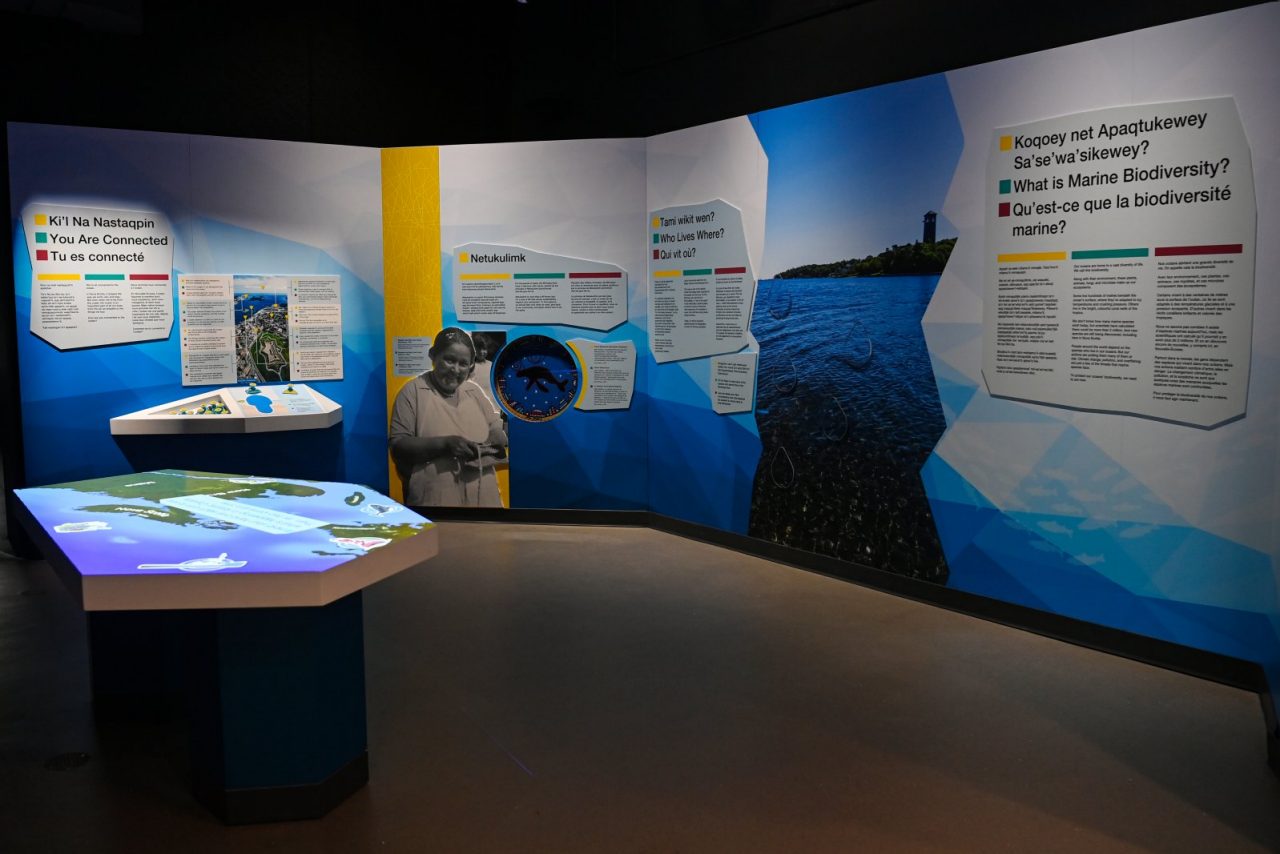 An ocean-themed exhibit in the centre.