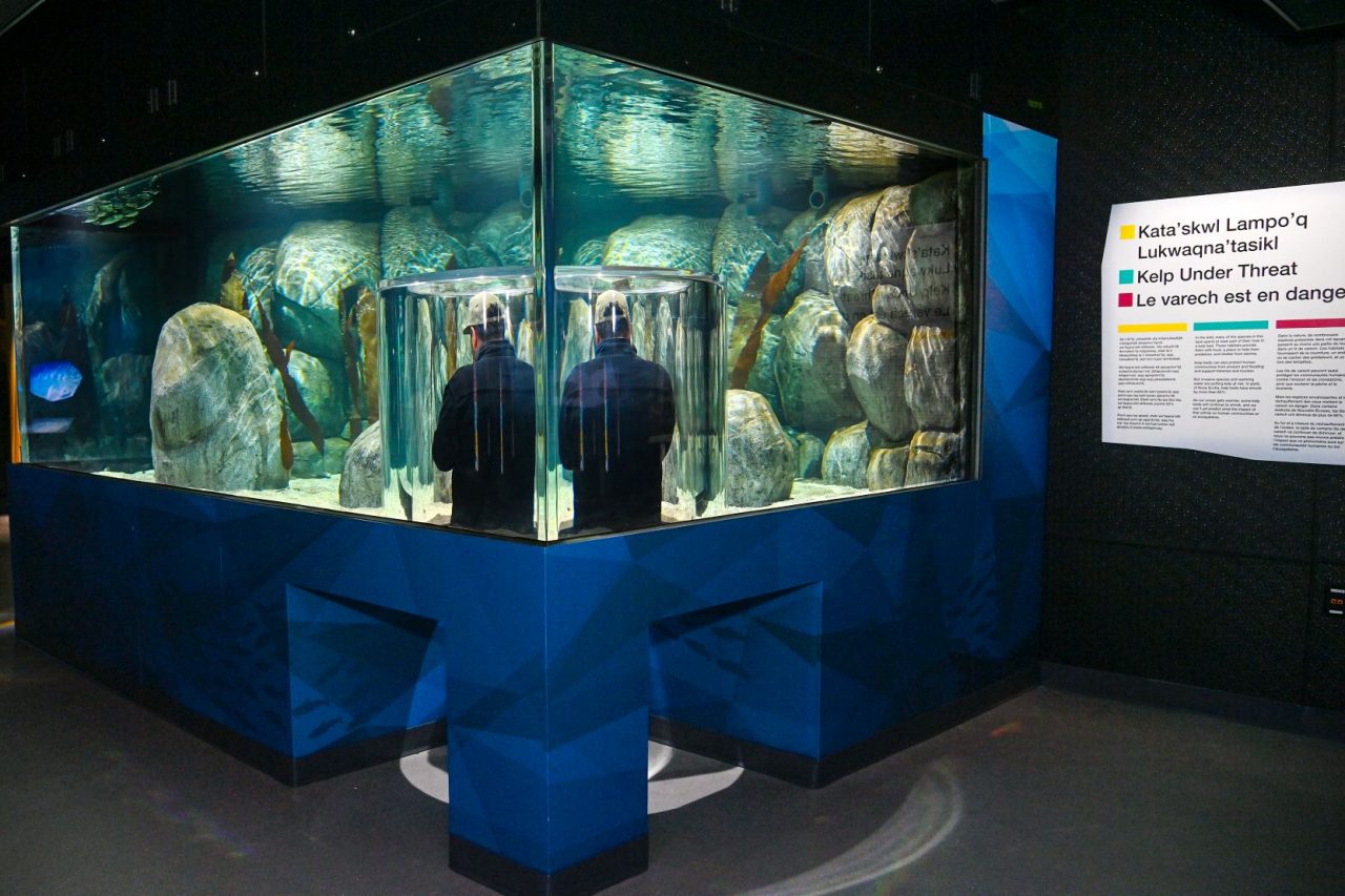 A person stands in a capsule within an exhibit in a water tank inside a building.