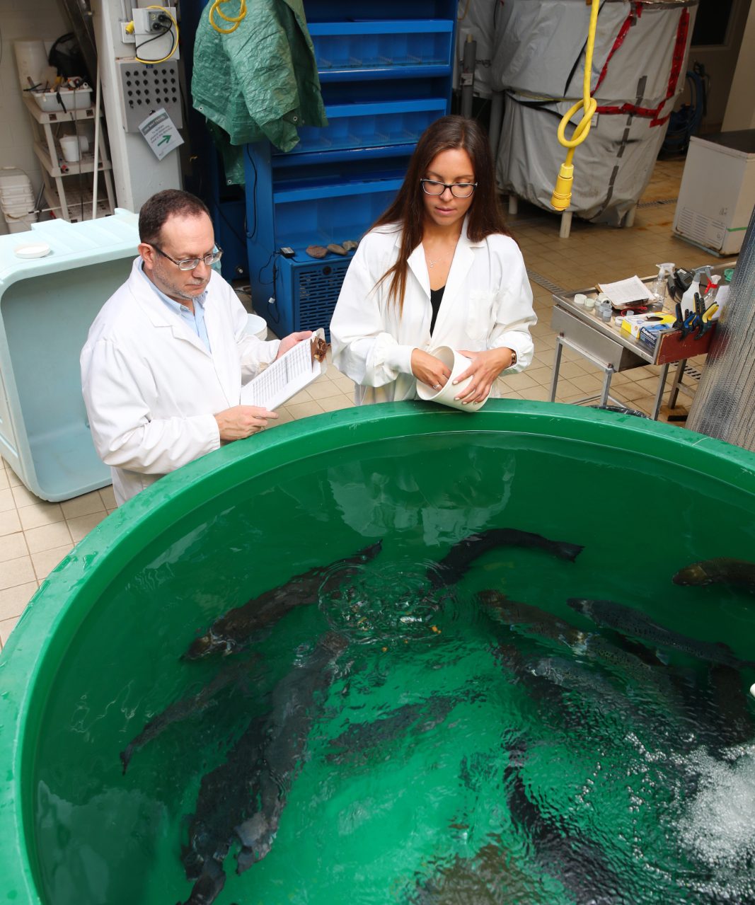 Two people in white lab coats looking into a basin of swimming fish in an indoor space.