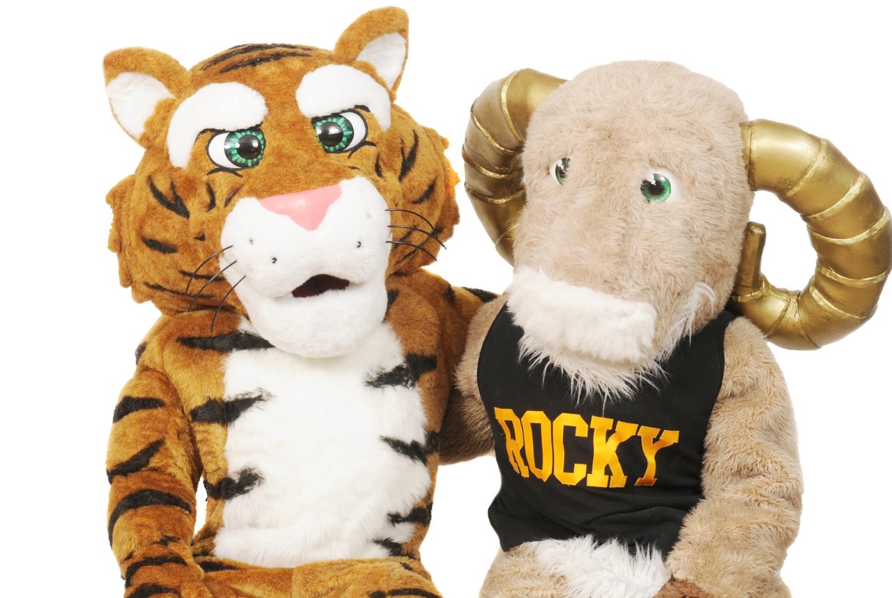 Dalhousie Tigers and Rams 