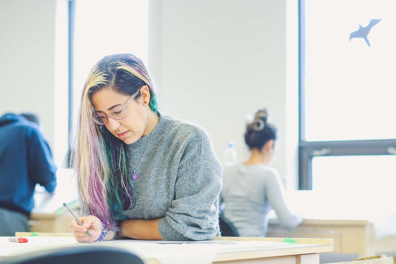 Student studying at a desk.