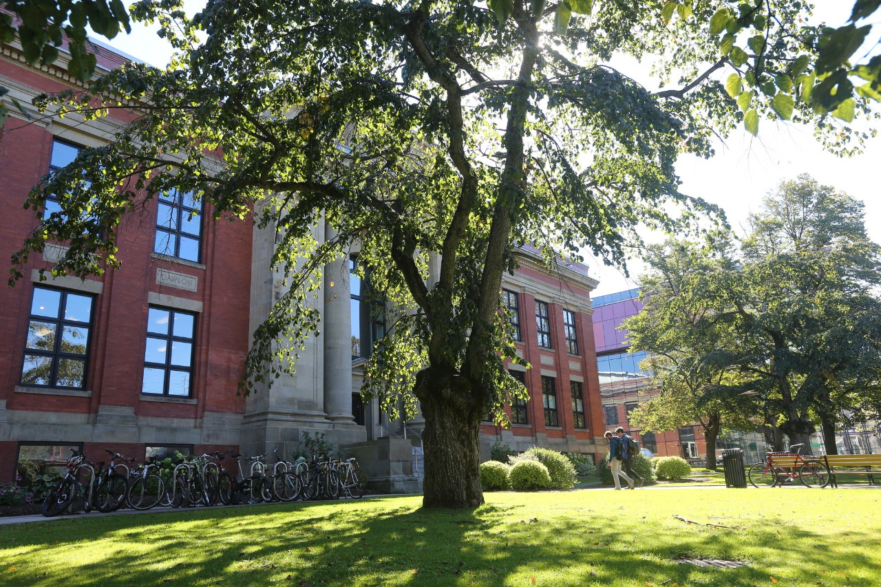 Sunlight filters through the trees in front of the historic red-brick architecture building with bicycles lined up along the sidewalk and a few students in the distance walking towards the building.