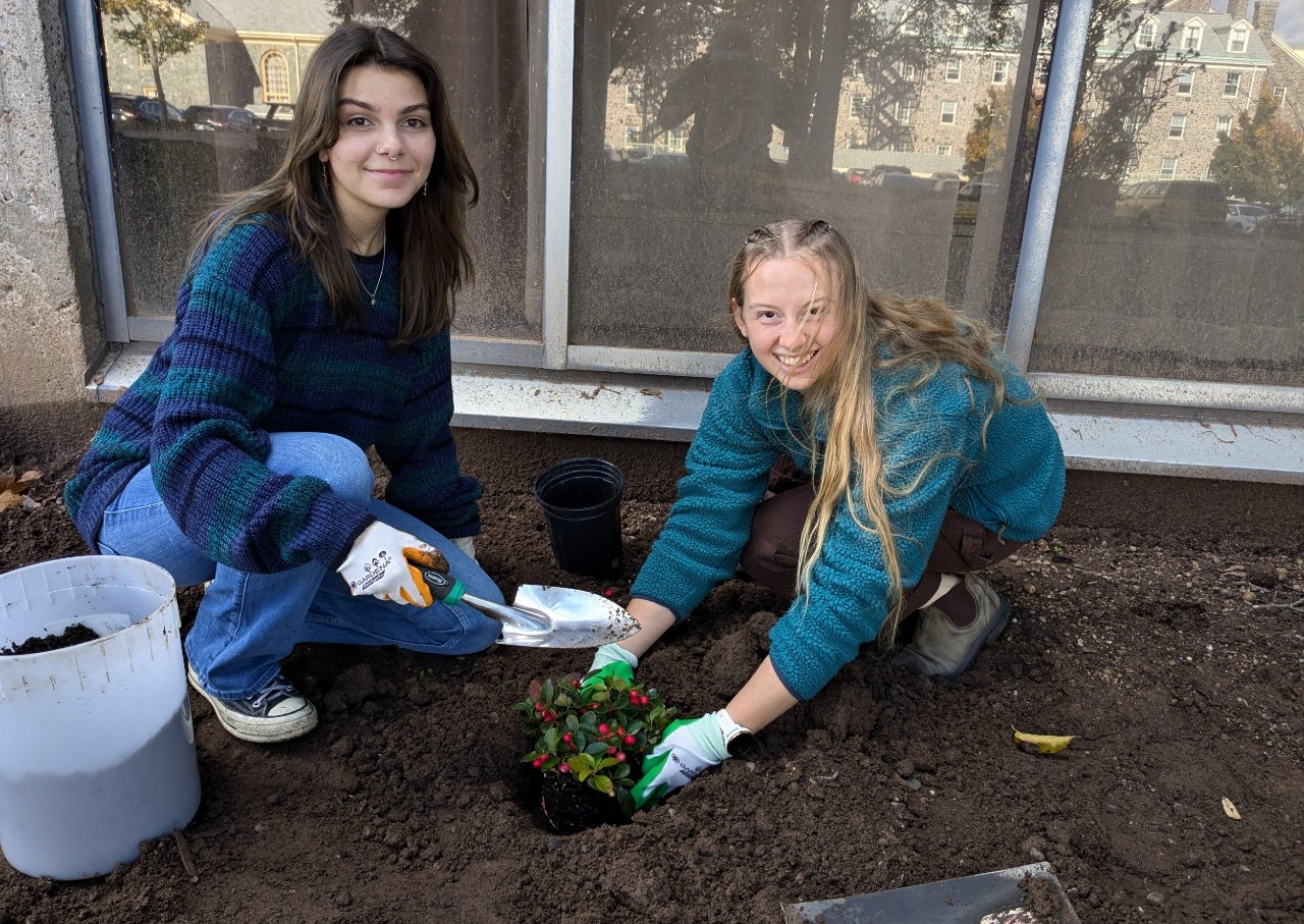 Two people are placing a plant in soil, smiling up from their work.