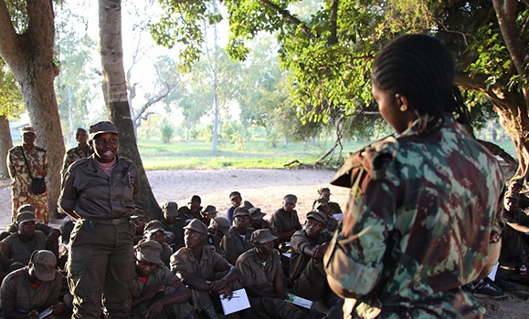 A public workshop in honour of Peace Day hosted by Dal’s Dallaire Institute.