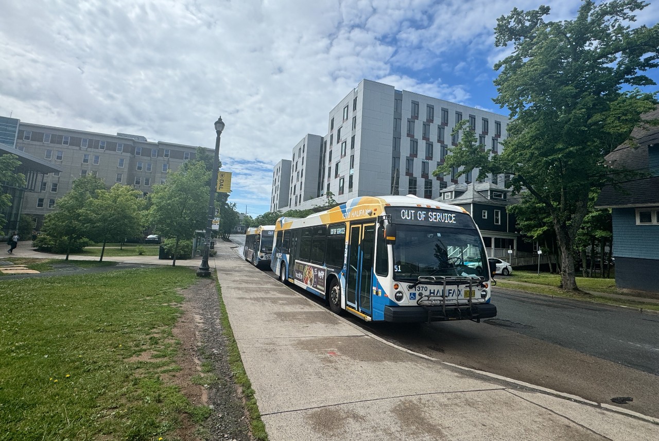 Two Halifax Transit busses are stopped on LeMarchant Street near the bus stop
