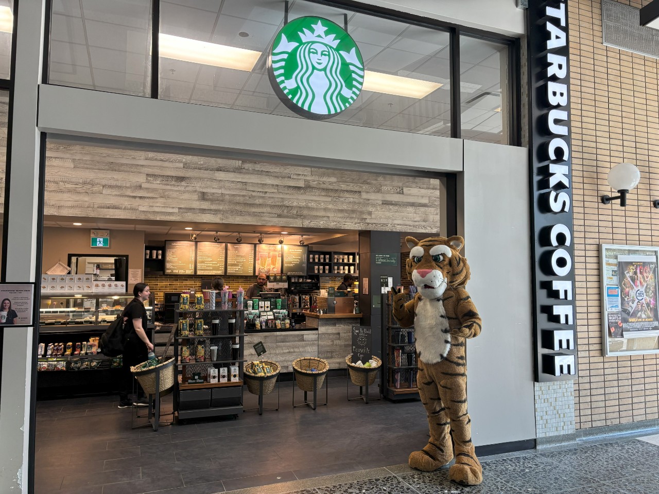 The Dal Tiger stands at the entrance of the Starbucks in the Tupper Building