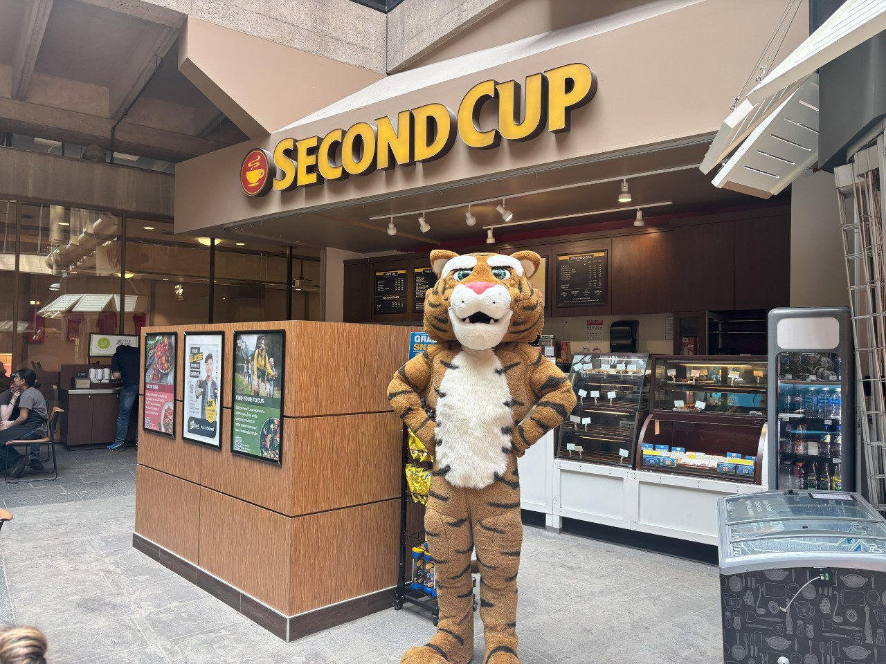 The Dal Tiger stands in front of the Second Cup location in the Killam with hands on hips