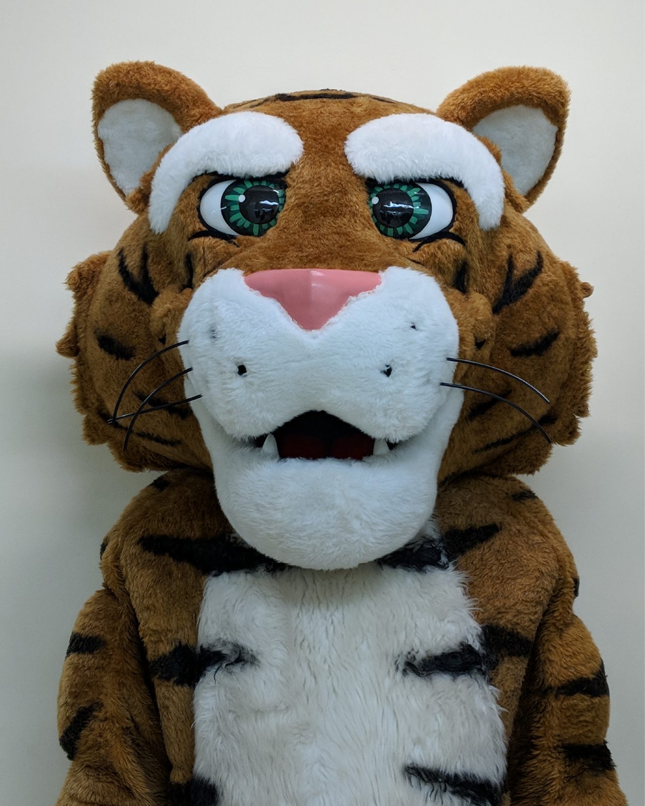 The Dal Tiger poses for a headshot photo for their DalCard