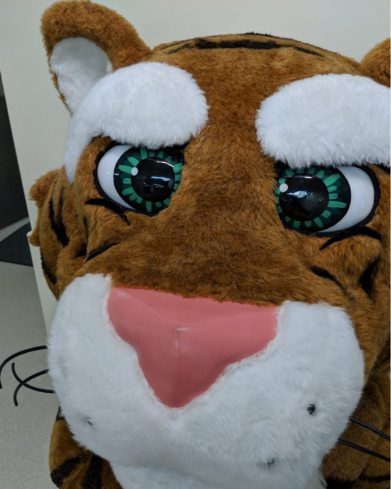 The Dal Tiger poses too close to the camera for their photo