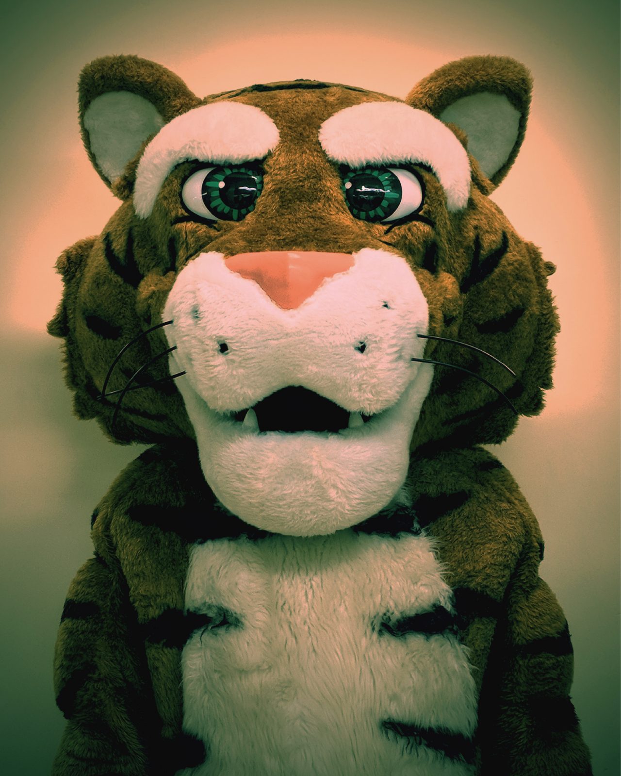 The Dal Tiger uses too many filters to alter their photo