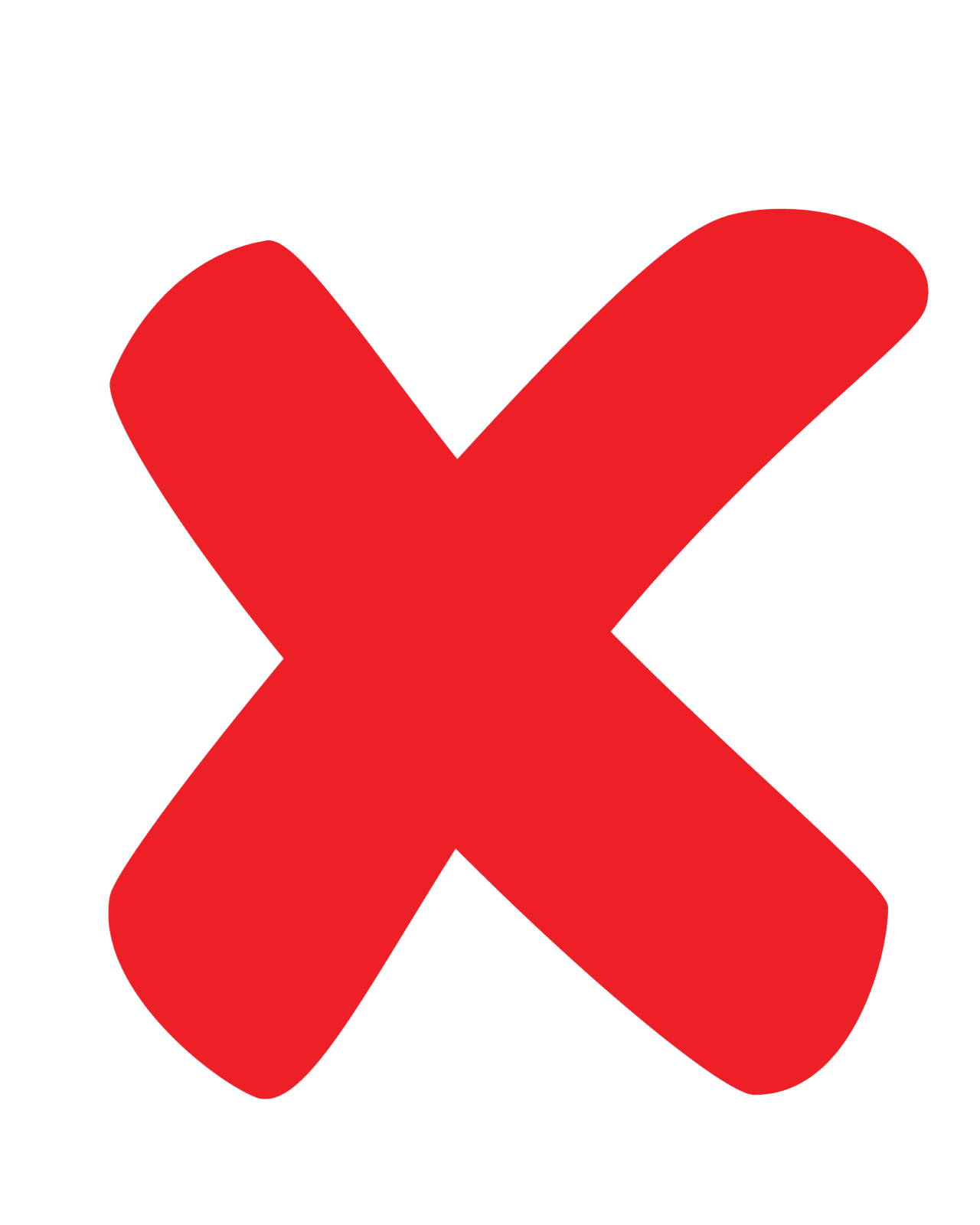 A red X icon indicating that the item next to it is incorrect