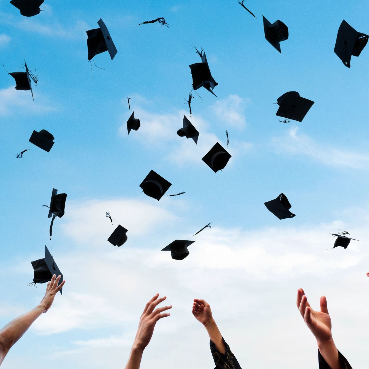 sexton campus from above