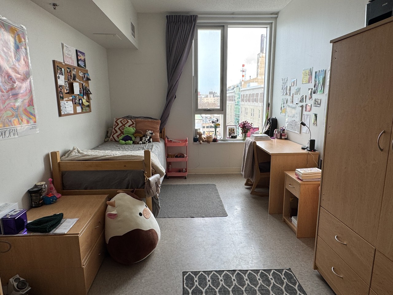 An accessible room in LeMarchant Place with plenty of natural light