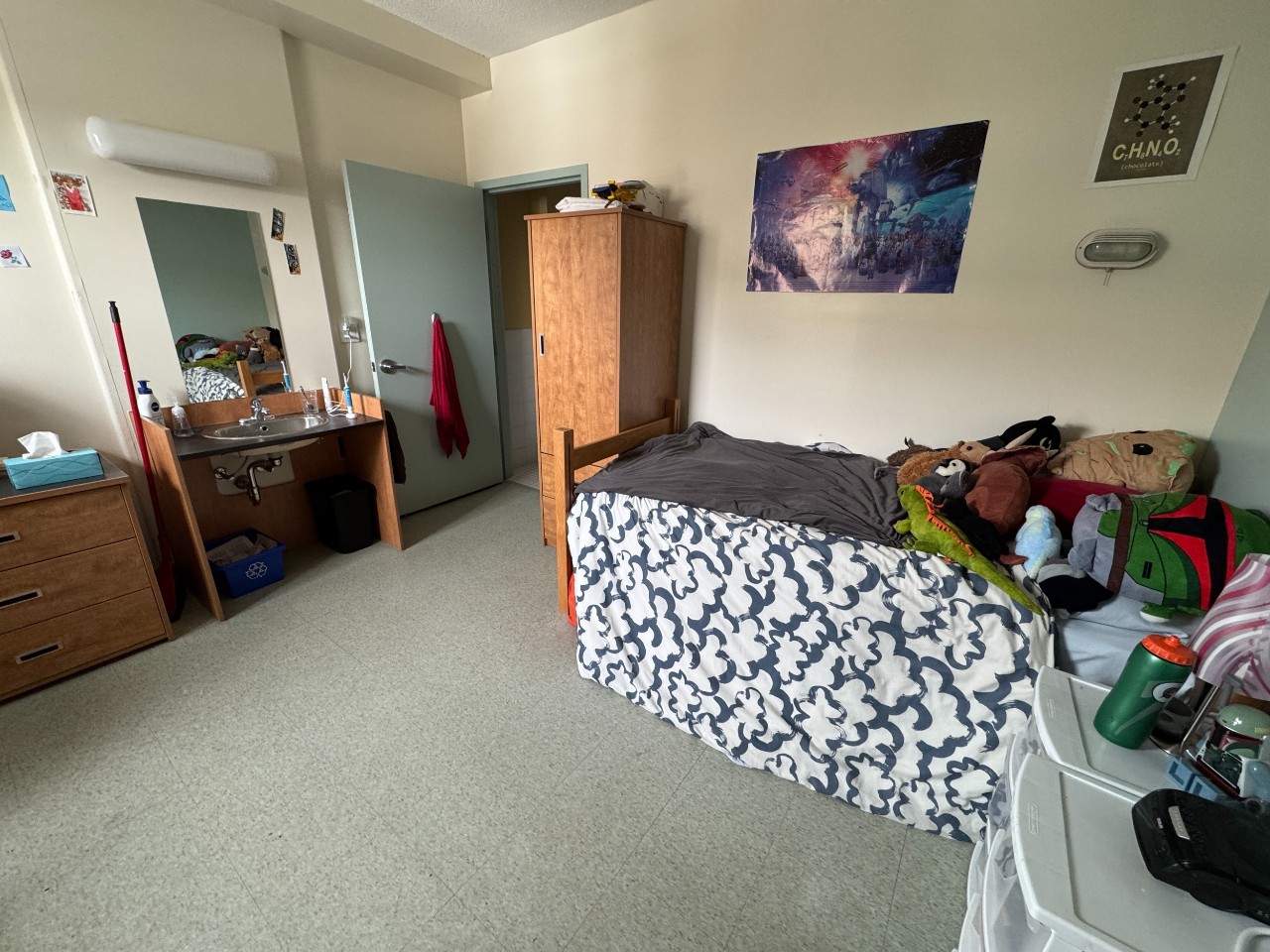 An accessible room in Risley Hall