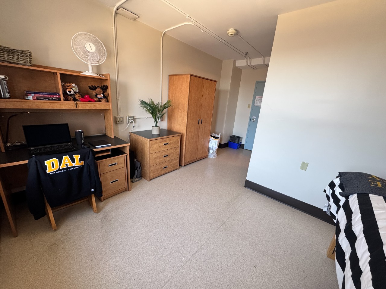 Rooms in Gerard Hall include a desk, storage, bed, and wardrobe.