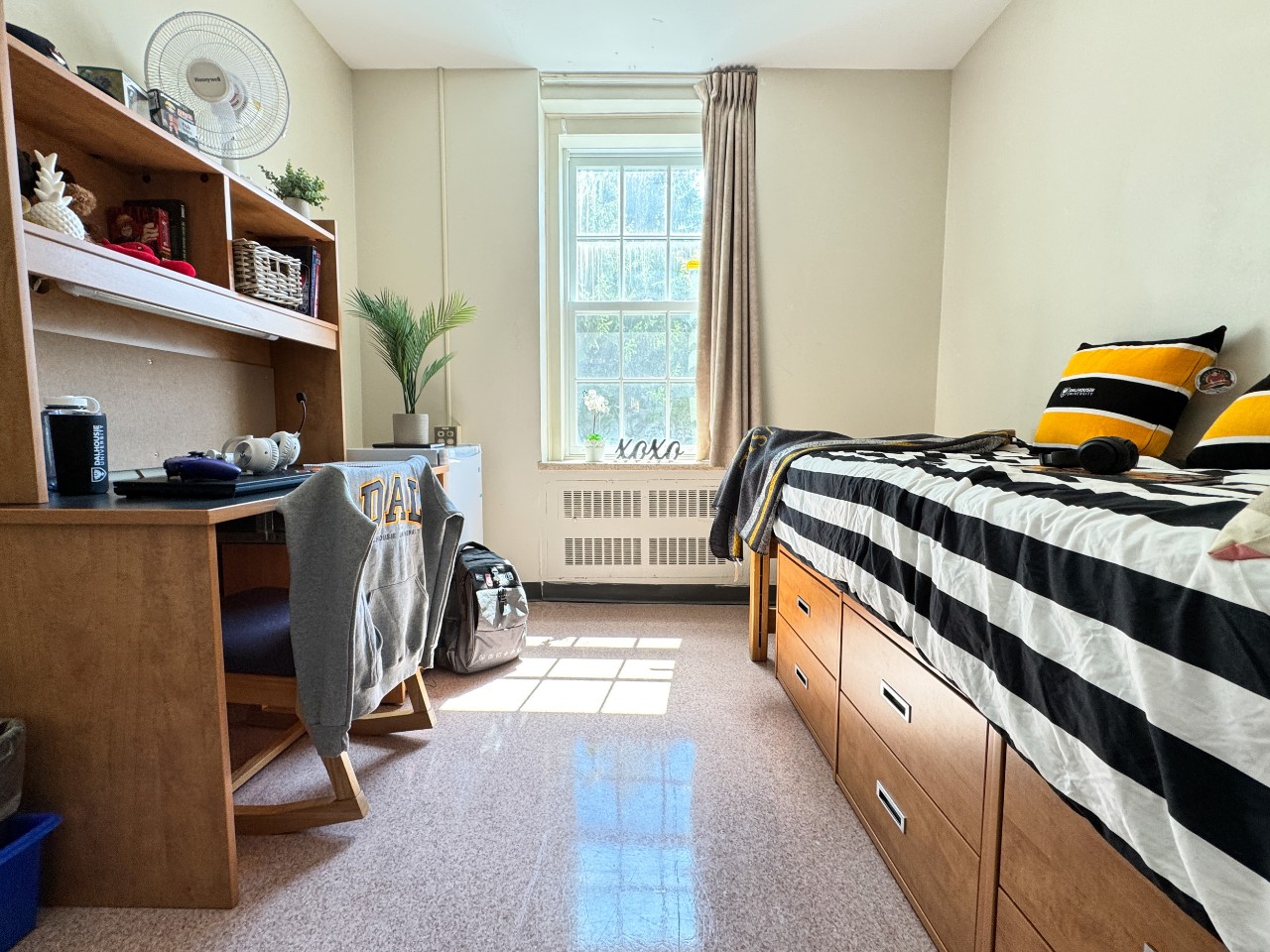A single room in Bronson House with storage under the bed.