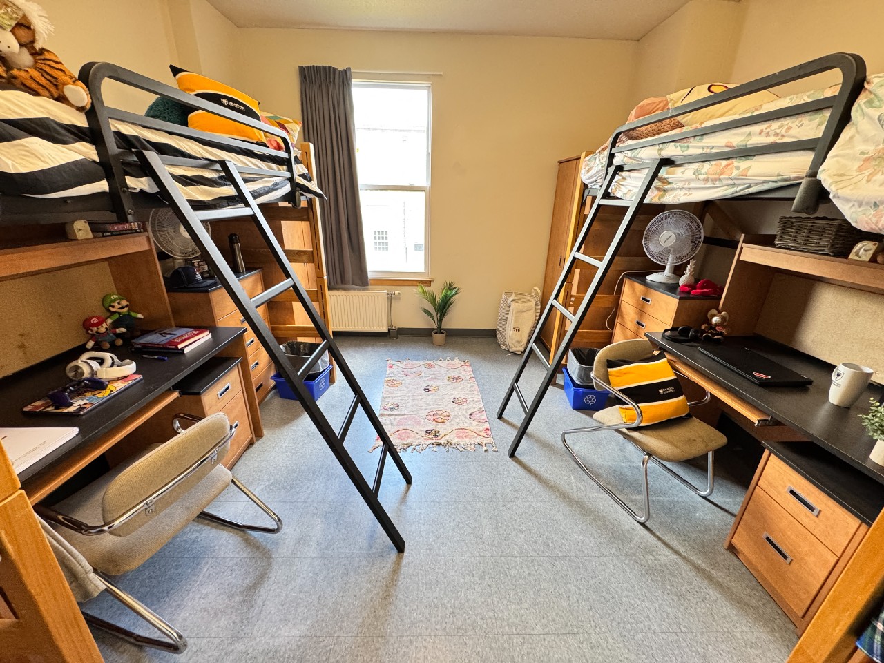 A view of both beds in a loft double in Howe Hall