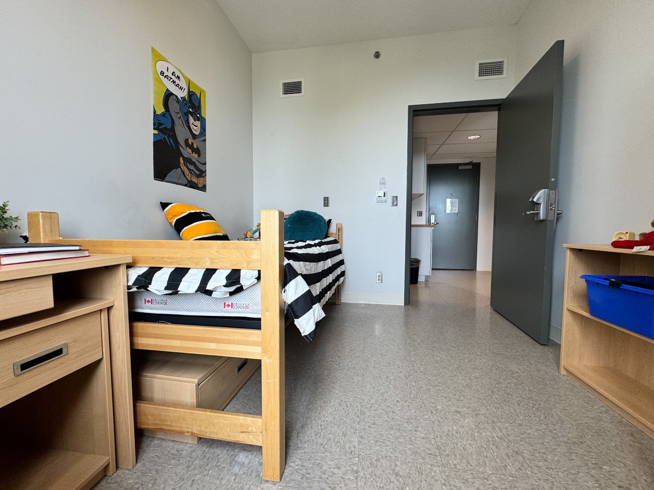 A bedroom in a 2-bedroom suite in LeMarchant Place with bed, desk, shelves, and wardrobe