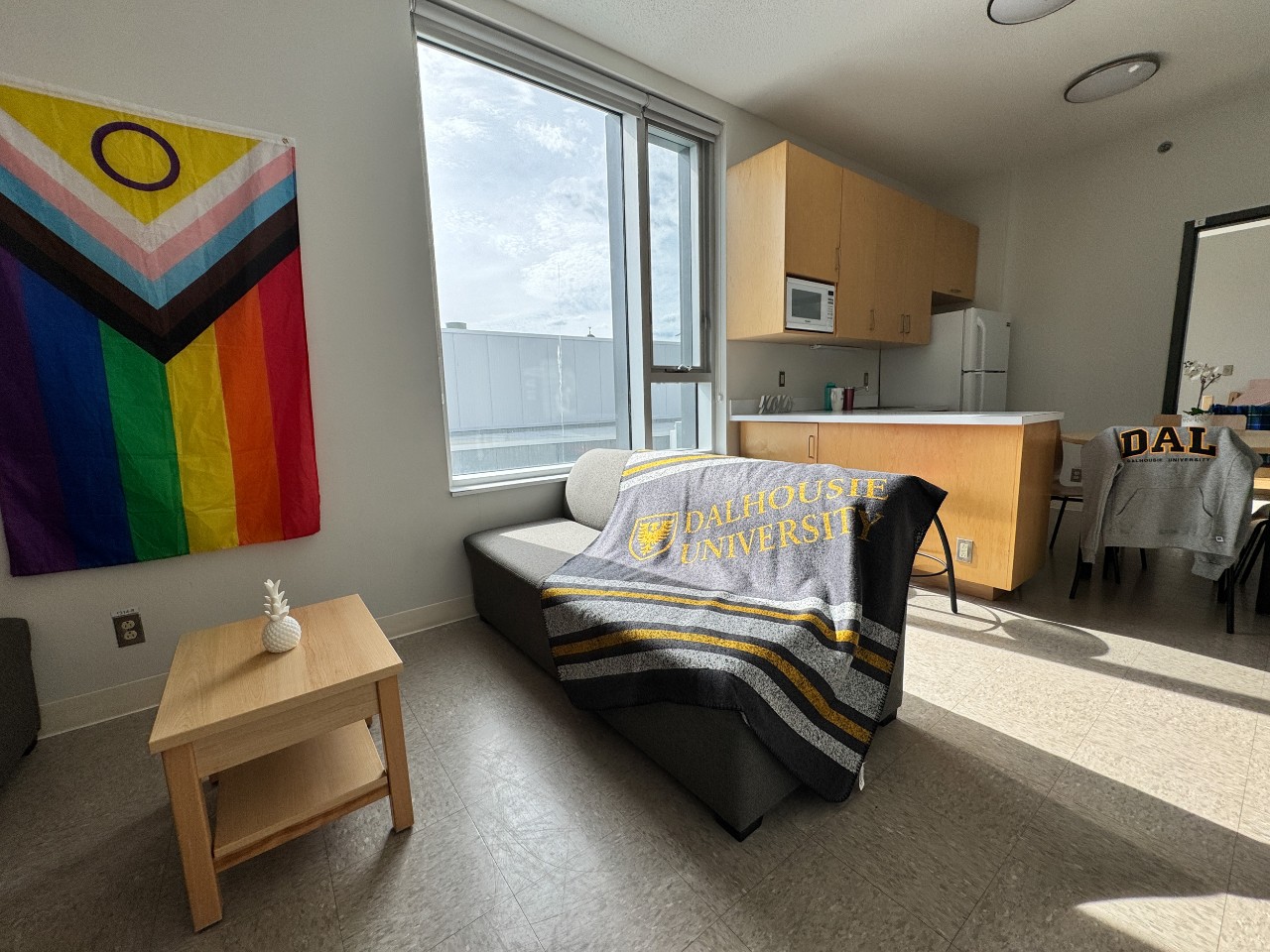 The main living area in a 4-bedroom suite in LeMarchant Place