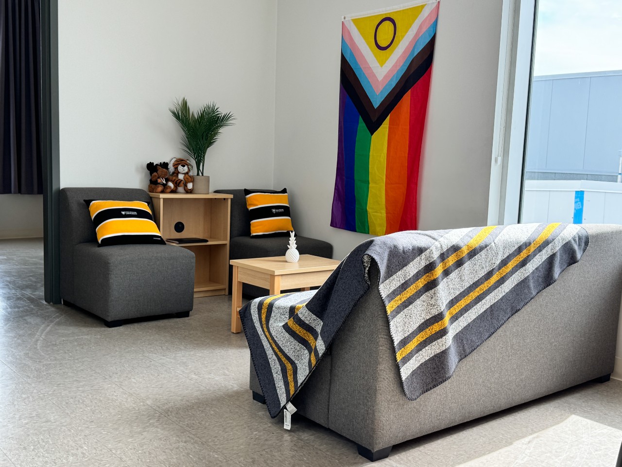 The sofas in the main living area in a 4-bedroom suite in LeMarchant Place