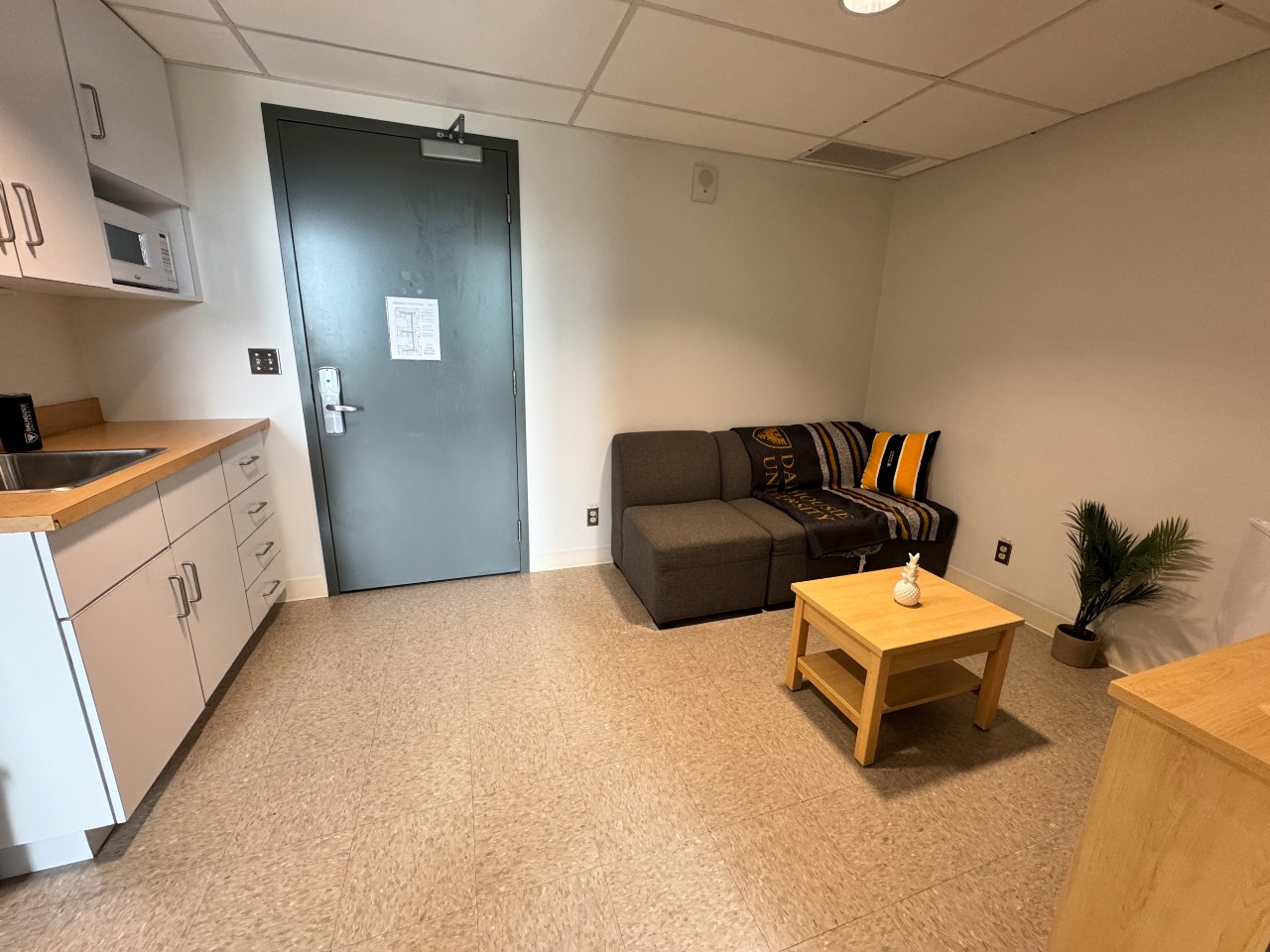 The living area in a 2-bedroom suite in LeMarchant Place